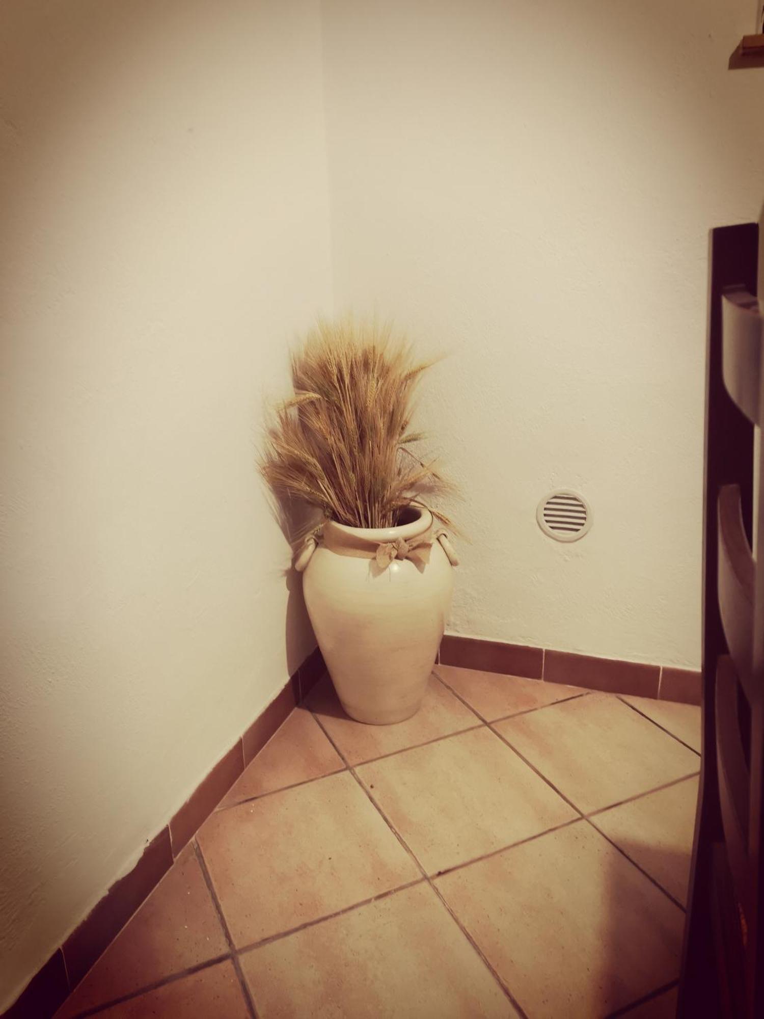 Pian Di Rocca Country Villa Castiglione della Pescaia Room photo
